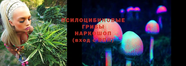 а пвп мука Алзамай