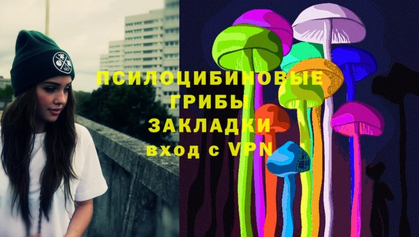 а пвп мука Алзамай
